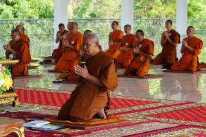 641365585_1384099780416422_5552918068448431269_n_compressed